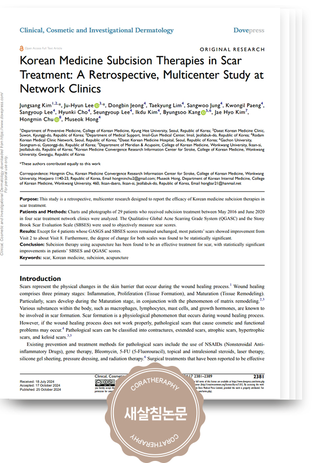 2024년 게재 SCIE 논문